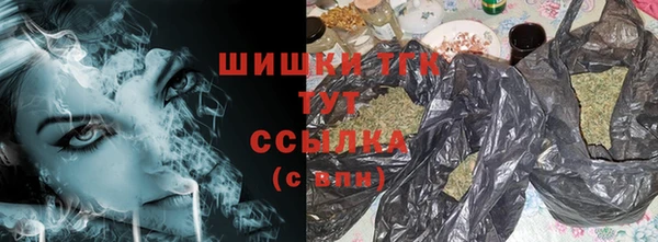молекула духа Богородицк