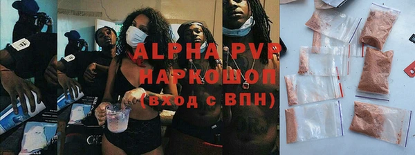 дмт Богданович